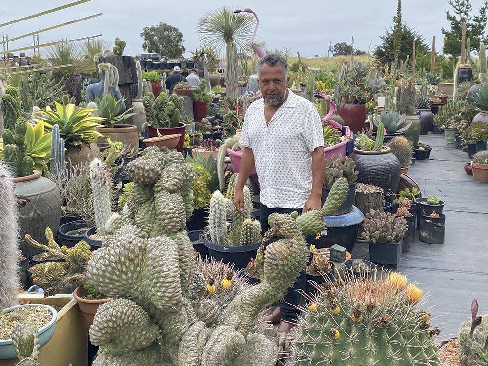 Navarro’s Mixed Nursery Featured in Monterey County Weekly!